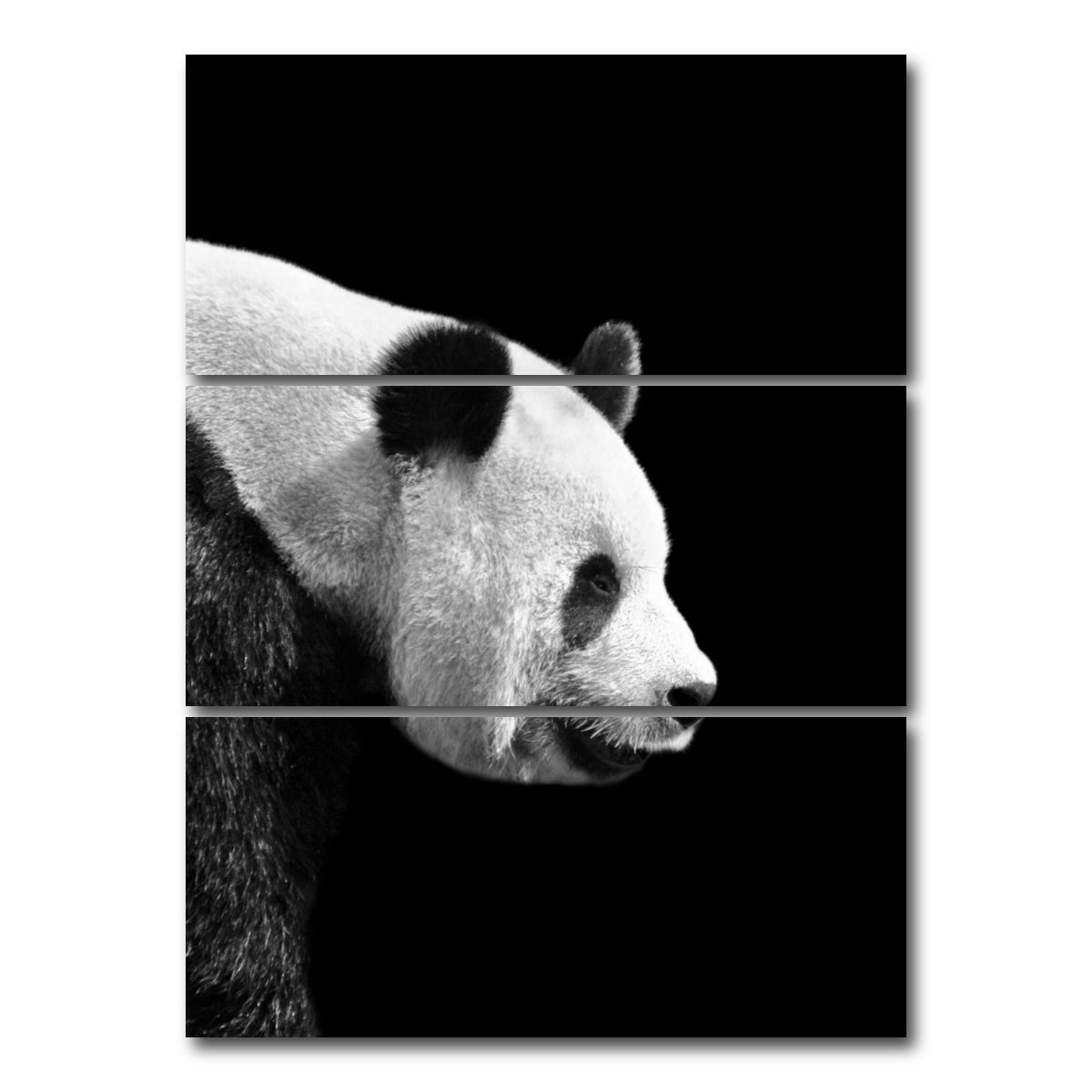 AUTO-MOCKUP WHITE | Panda | 3 Piece | Gallery Wrap Canvas | group=8x18_stacked
