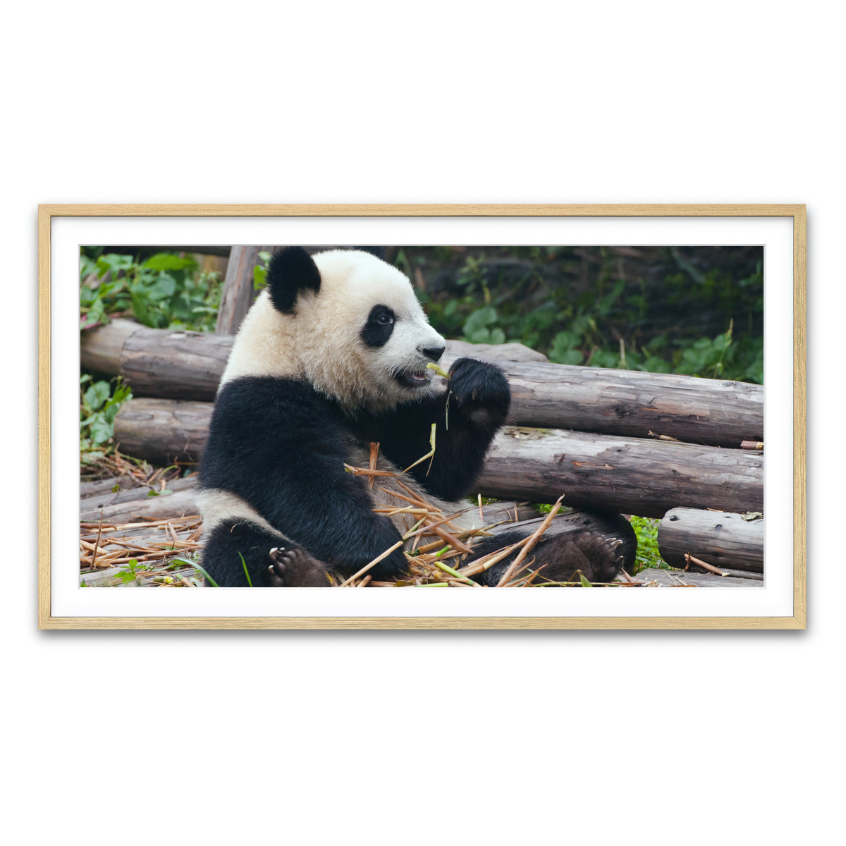 Framed Print 2x1 Natural