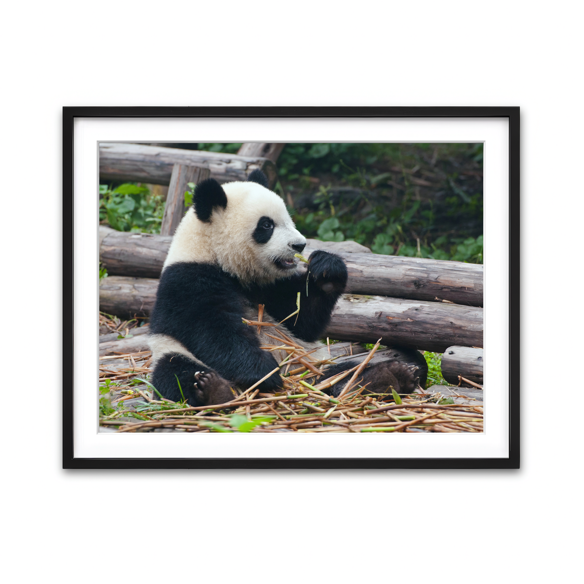 Framed Print 4x3 Black