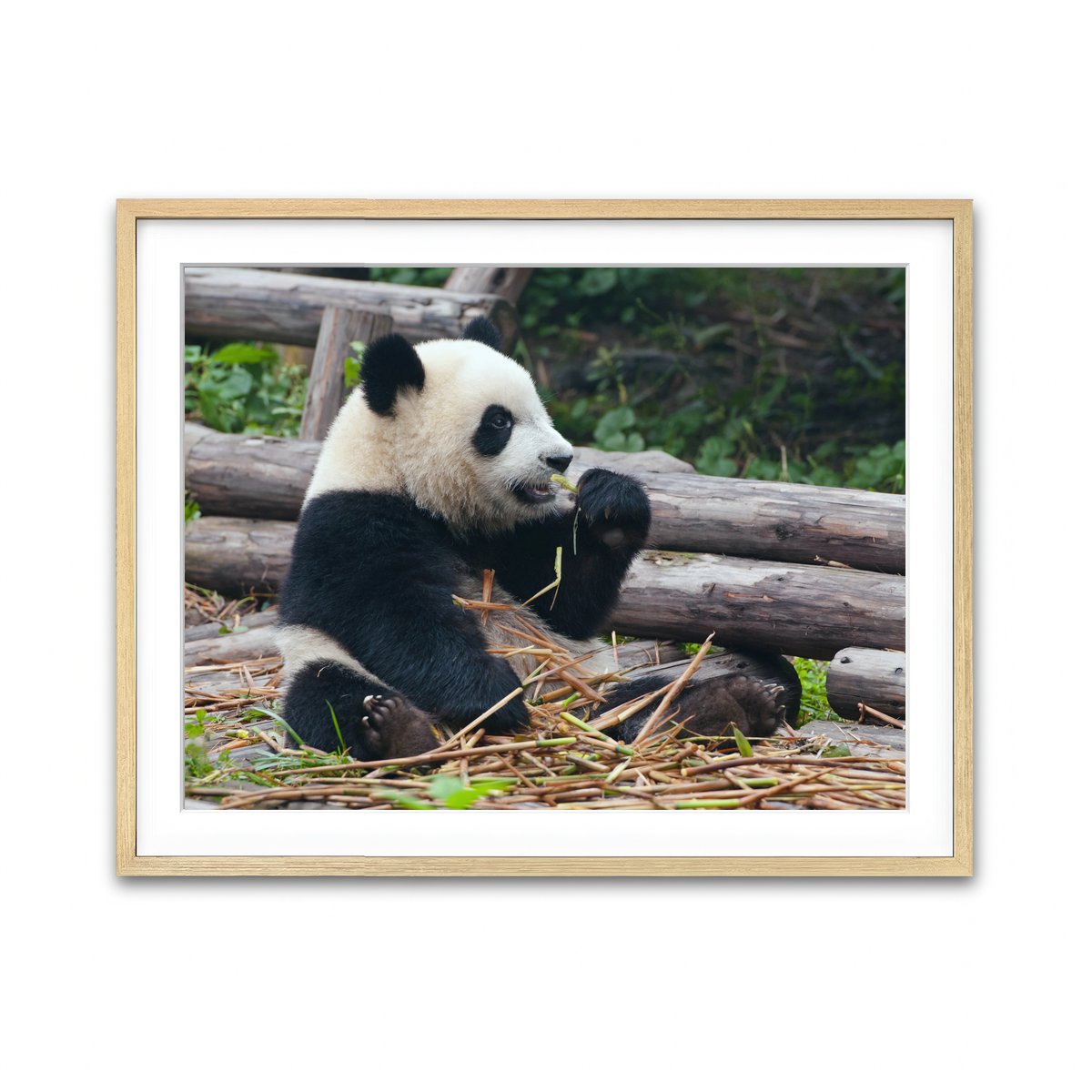 Framed Print 4x3 Natural