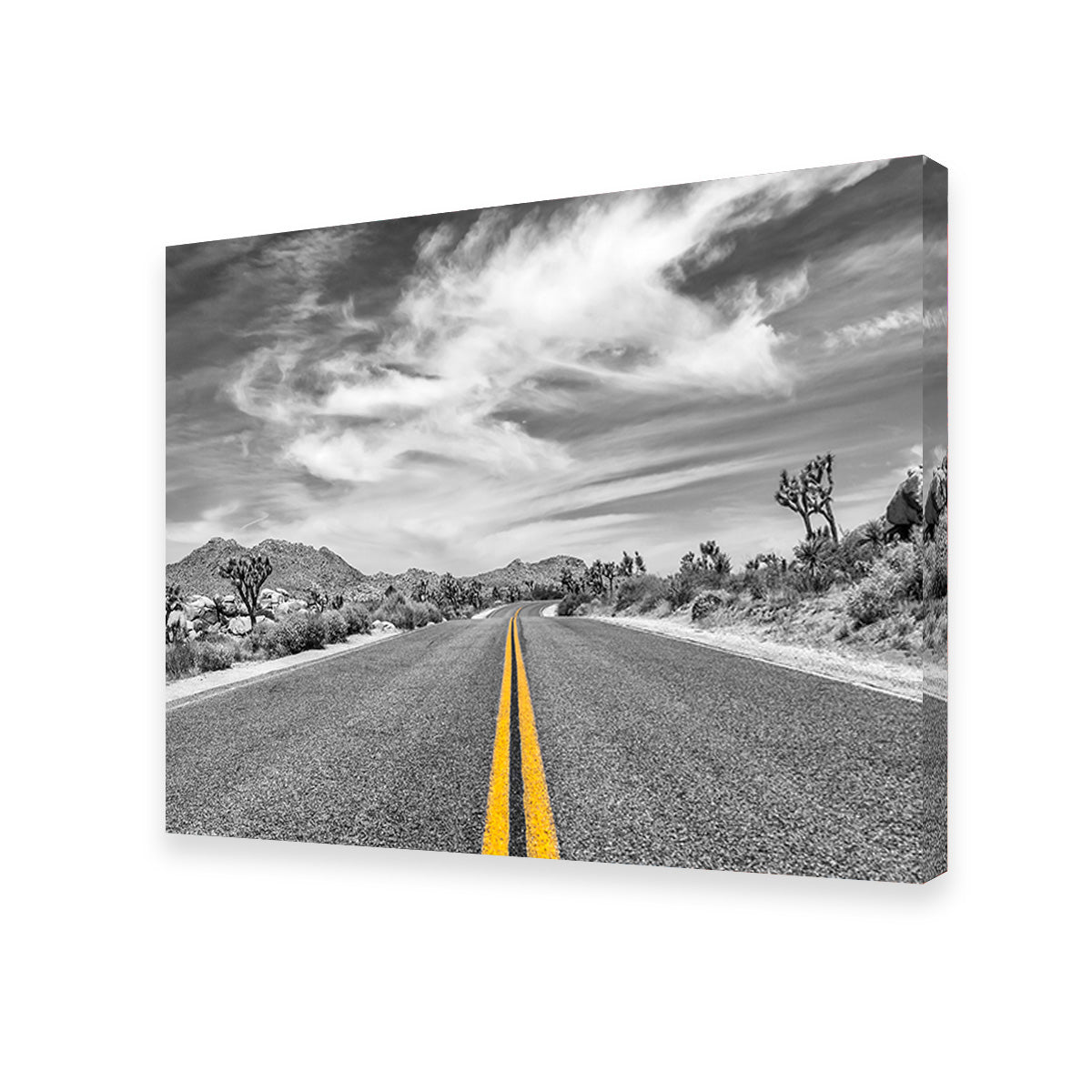Park Boulevard with Joshua Trees Wall Art