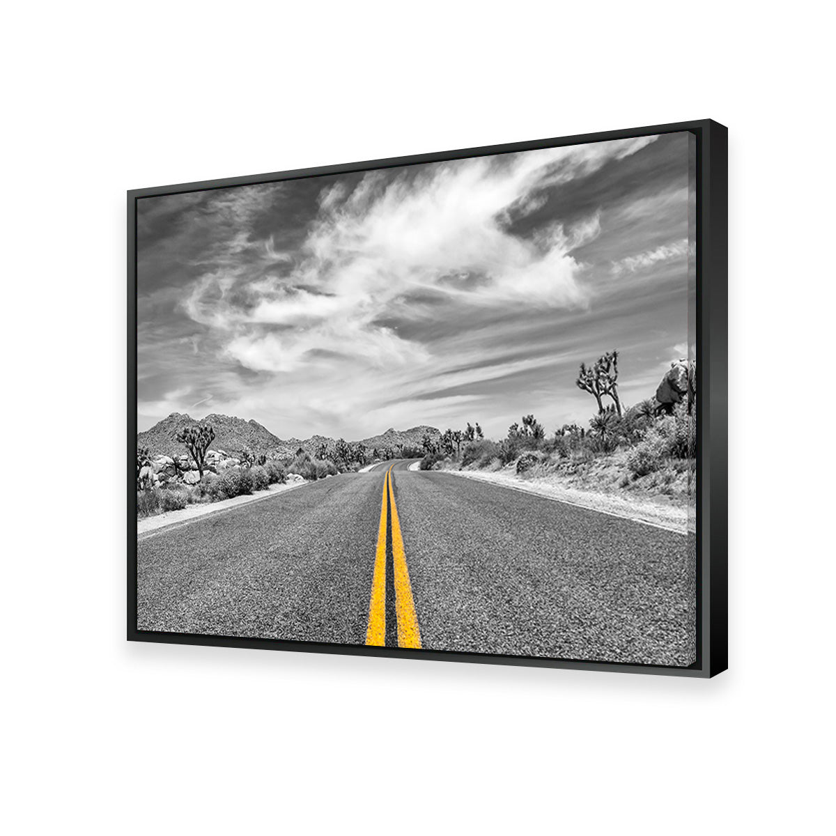 Park Boulevard with Joshua Trees Wall Art