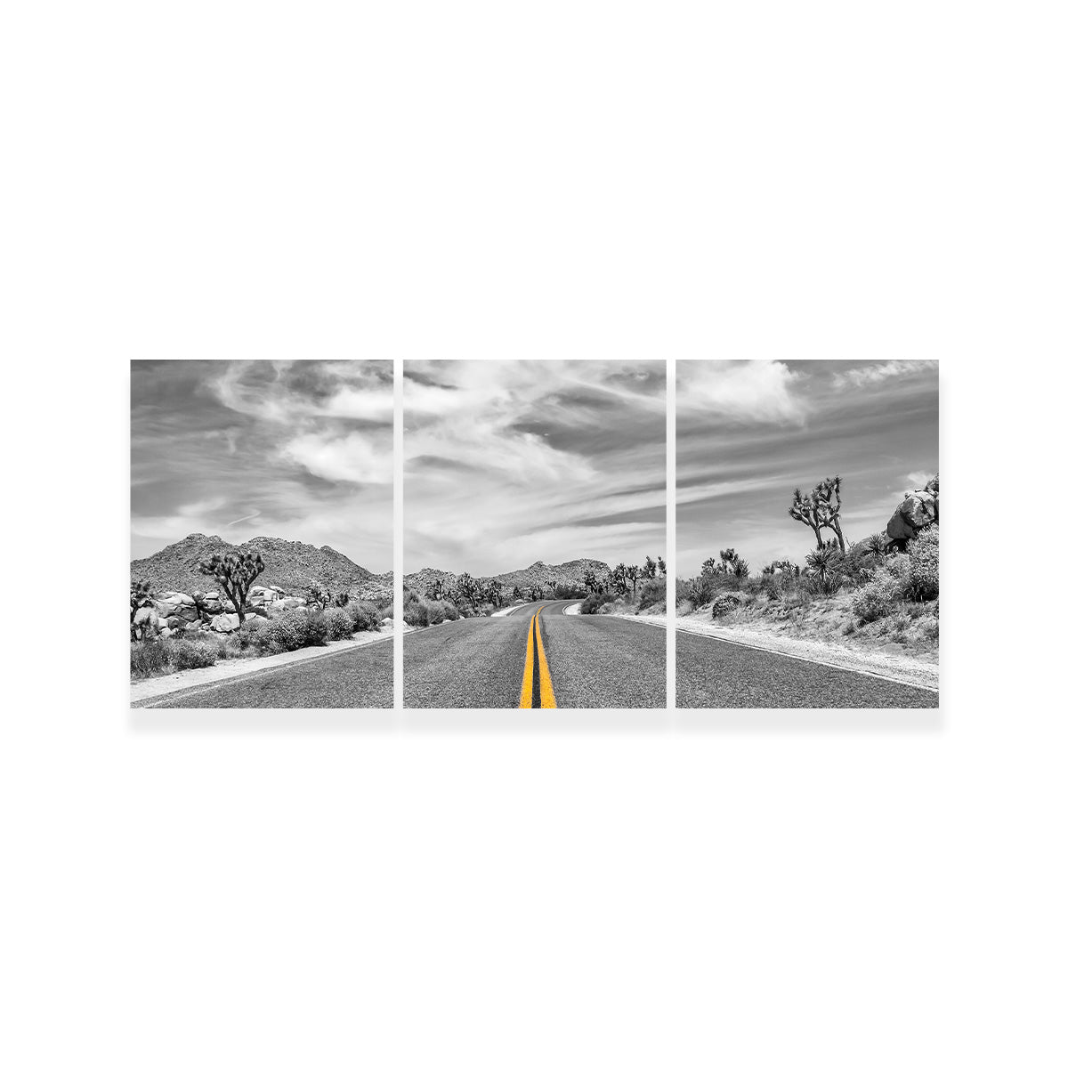 Park Boulevard with Joshua Trees Wall Art