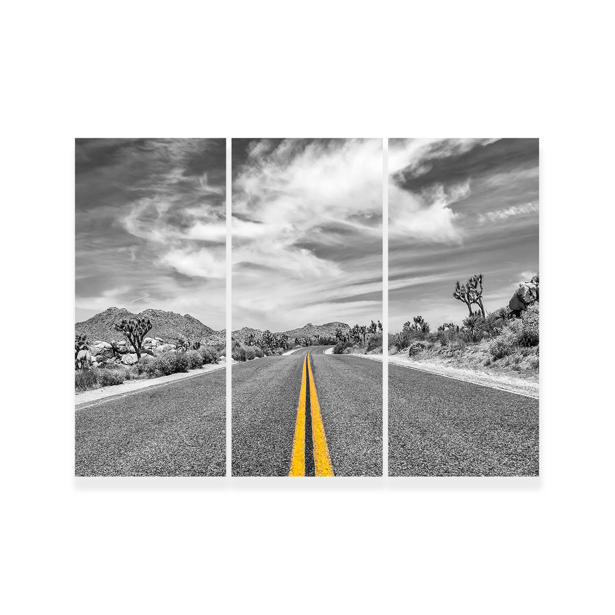 Park Boulevard with Joshua Trees Wall Art