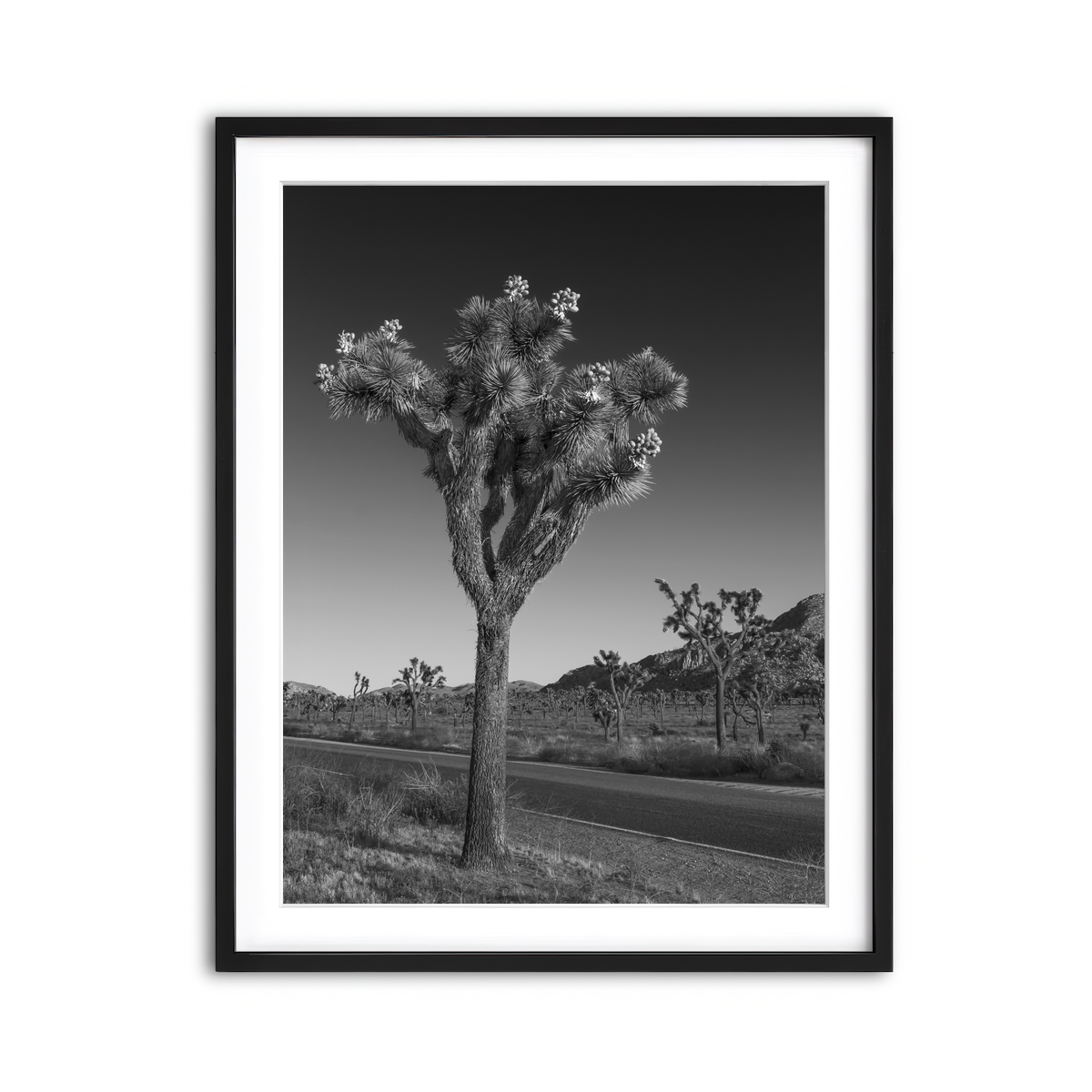 Framed Print 3x4 Black