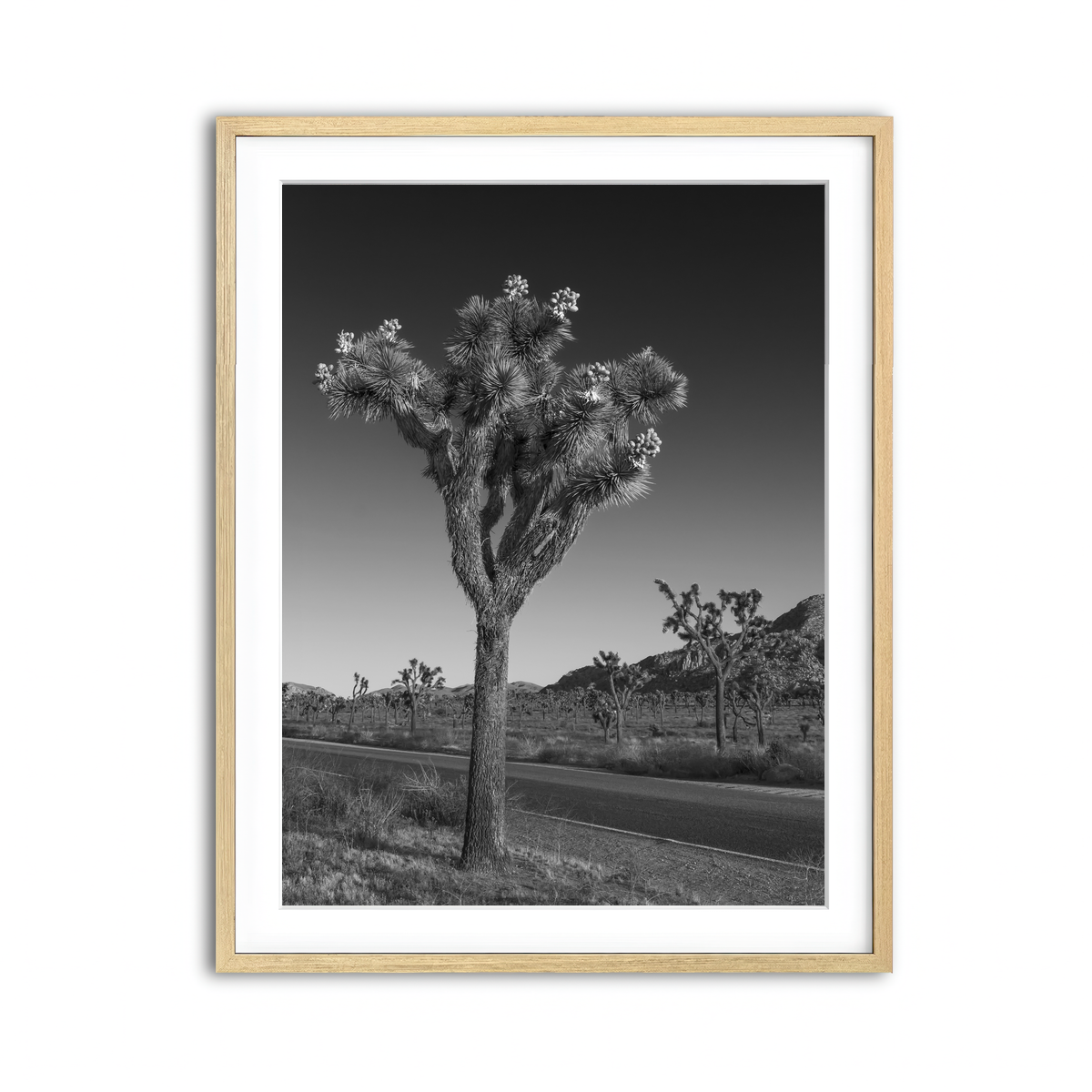 Framed Print 3x4 Natural