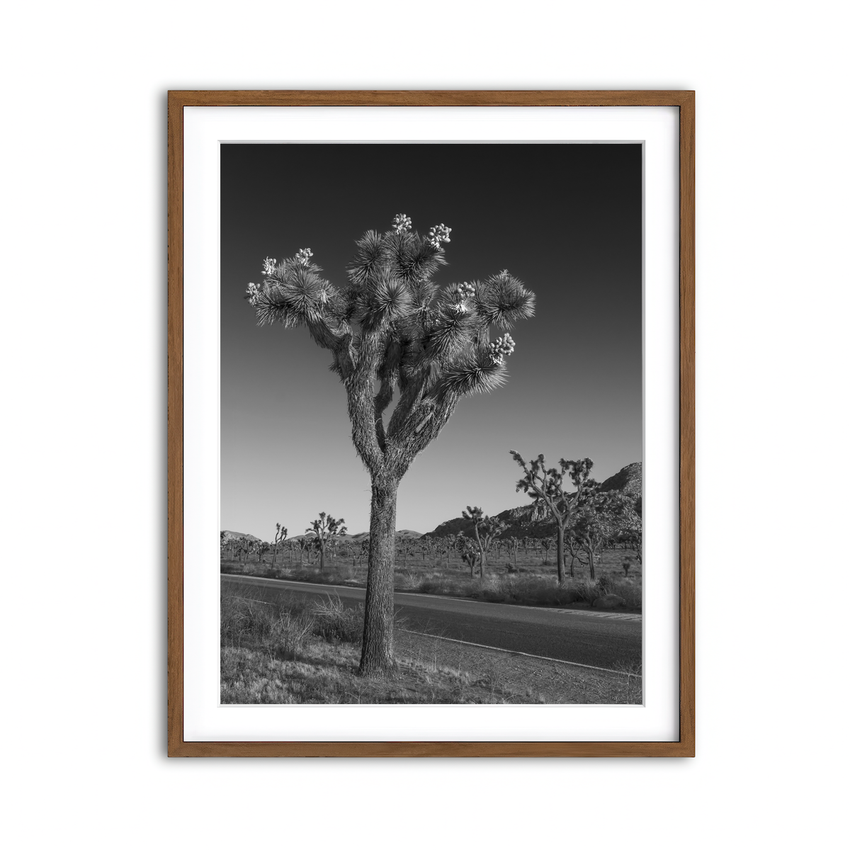 Framed Print 3x4 Walnut