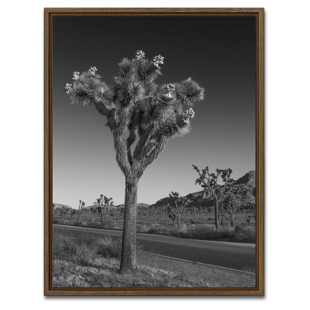 AUTO-MOCKUP WHITE | Park Boulevard and Joshua Tree | 1 Piece | Walnut Framed Canvas | group=3x4