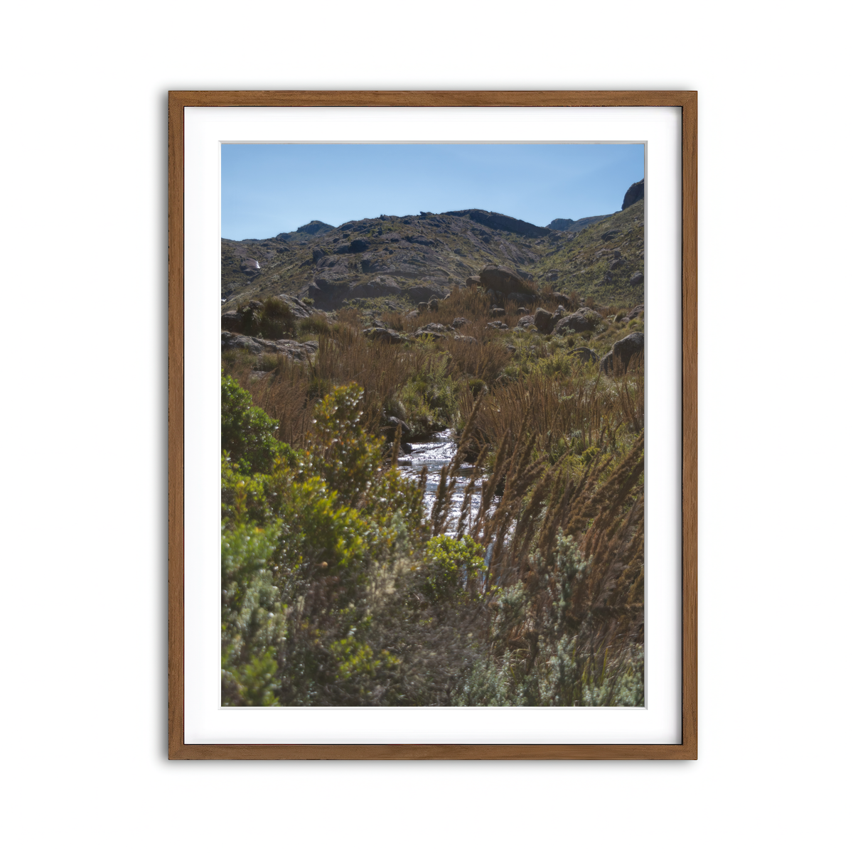 Framed Print 3x4 Walnut