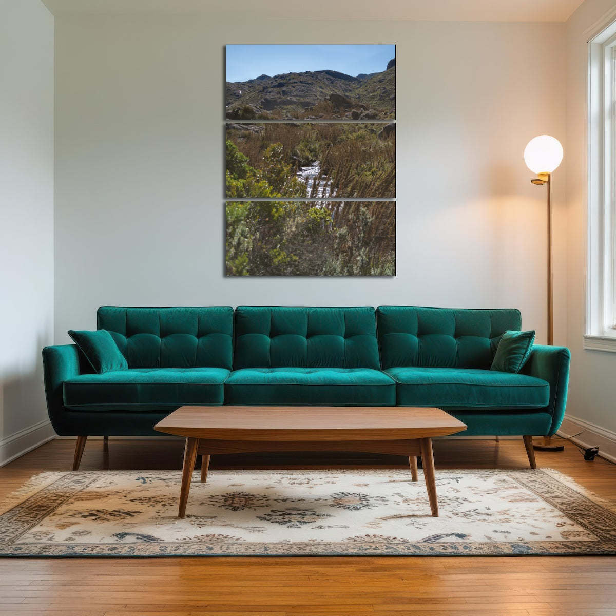 AUTO-MOCKUP ROOM | Path - Itatiaia National Park Brazil