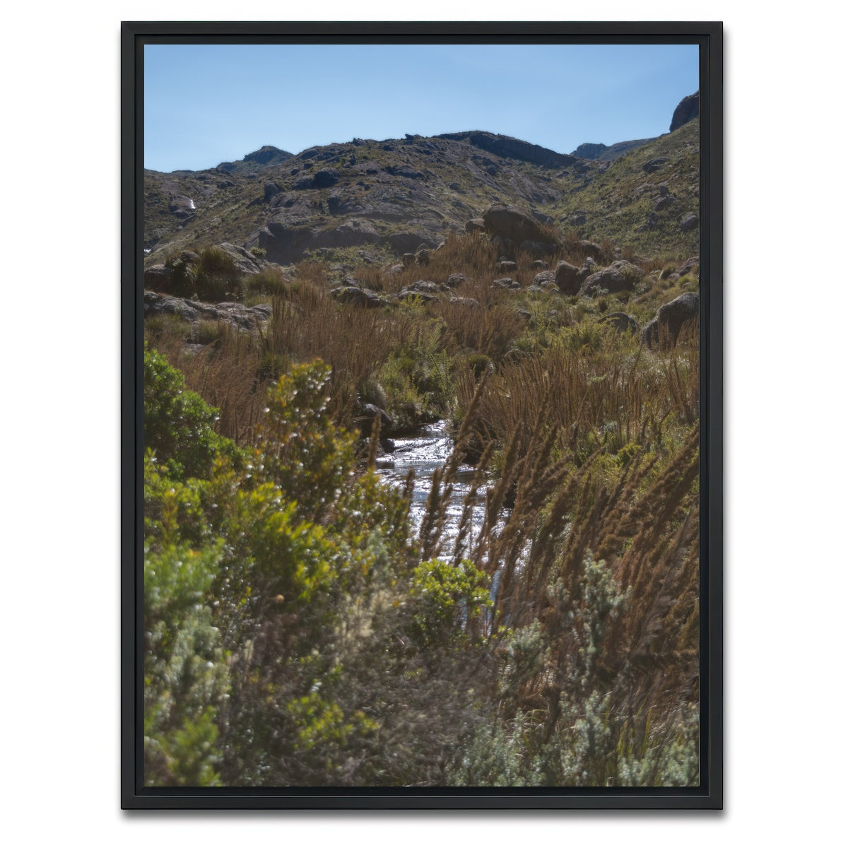 AUTO-MOCKUP WHITE | Path - Itatiaia National Park Brazil | 1 Piece | Black Framed Canvas | group=3x4
