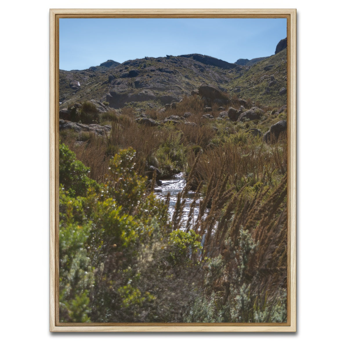 AUTO-MOCKUP WHITE | Path - Itatiaia National Park Brazil | 1 Piece | Natural Framed Canvas | group=3x4