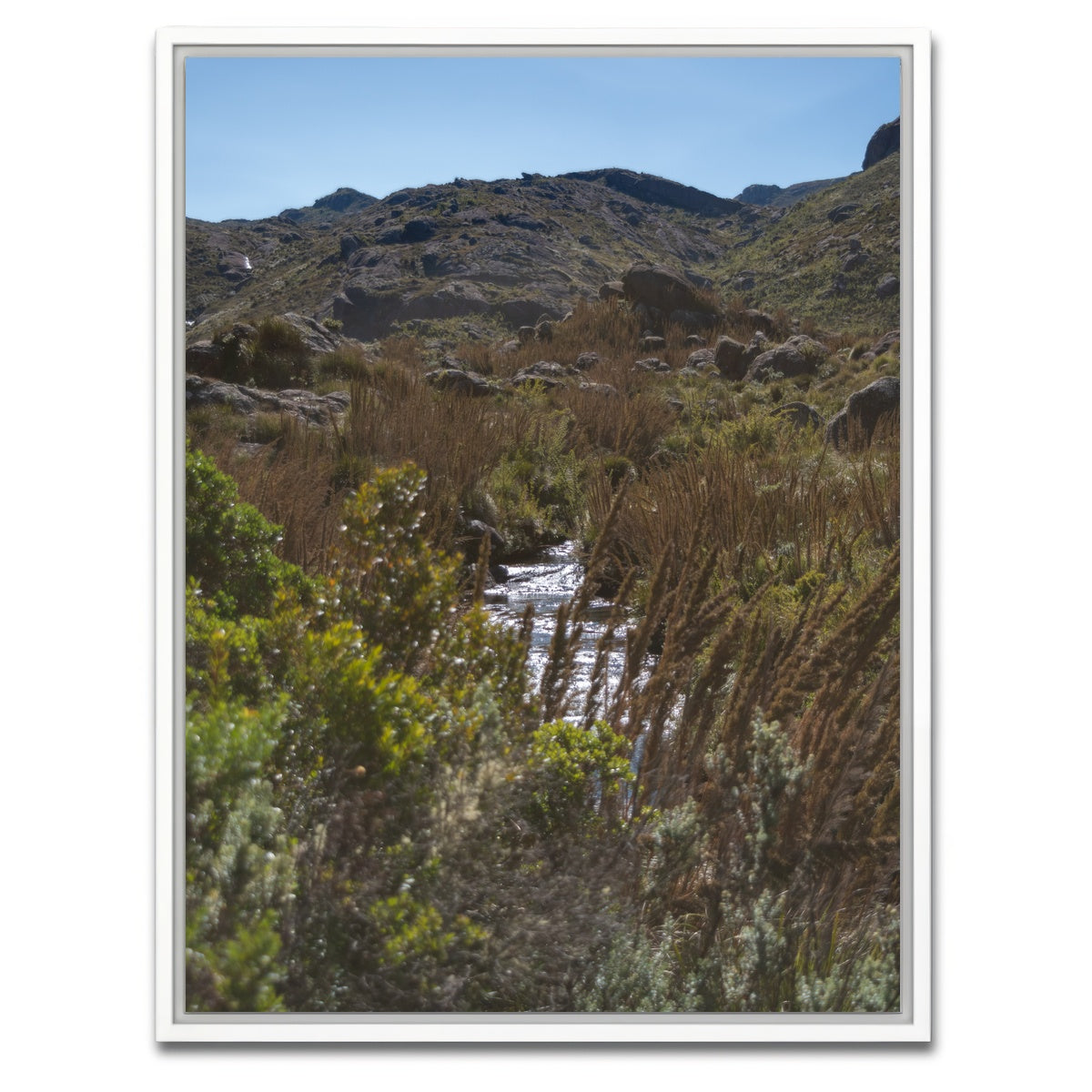 AUTO-MOCKUP WHITE | Path - Itatiaia National Park Brazil | 1 Piece | White Framed Canvas | group=3x4