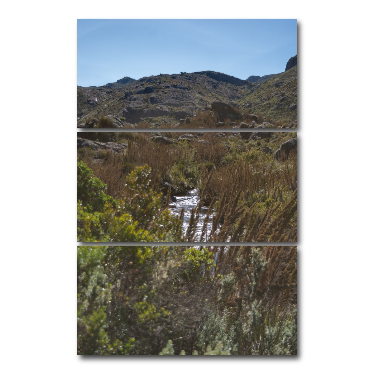 AUTO-MOCKUP WHITE | Path - Itatiaia National Park Brazil | 3 Piece | Gallery Wrap Canvas | group=12x24_stacked