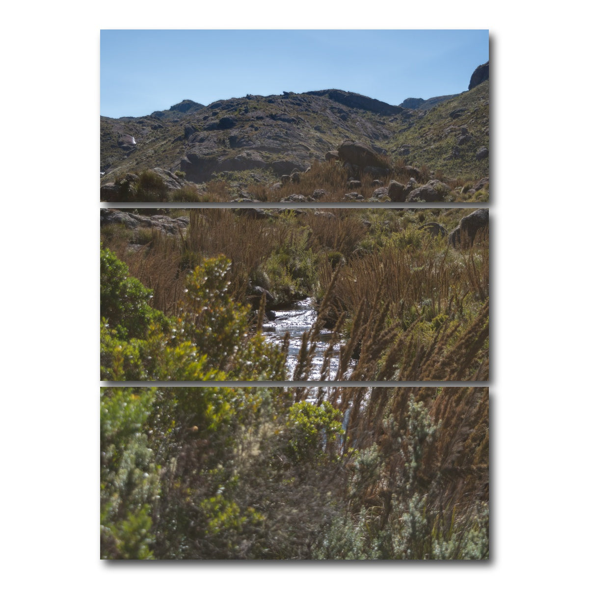 AUTO-MOCKUP WHITE | Path - Itatiaia National Park Brazil | 3 Piece | Gallery Wrap Canvas | group=8x18_stacked
