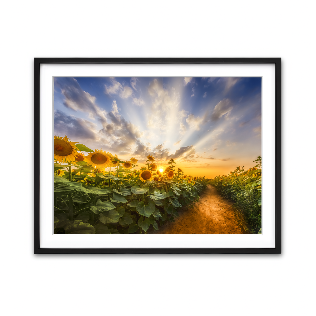 Framed Print 4x3 Black
