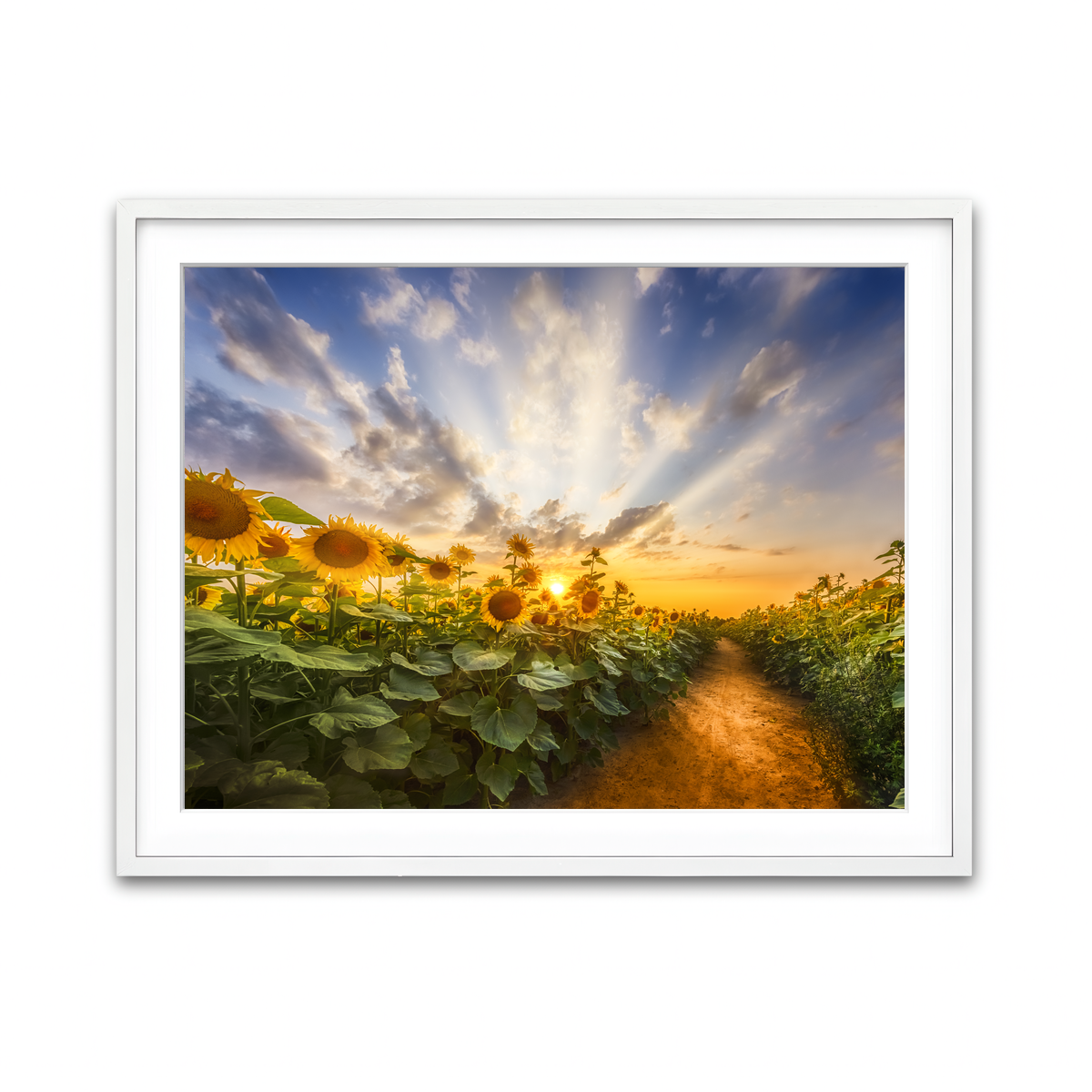 Framed Print 4x3 White
