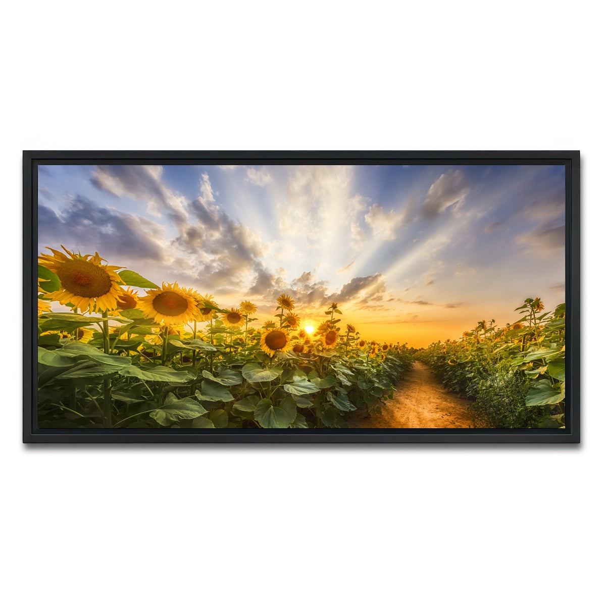 AUTO-MOCKUP WHITE | Path through the sunflower field | 1 Piece | Black Framed Canvas | group=2x1