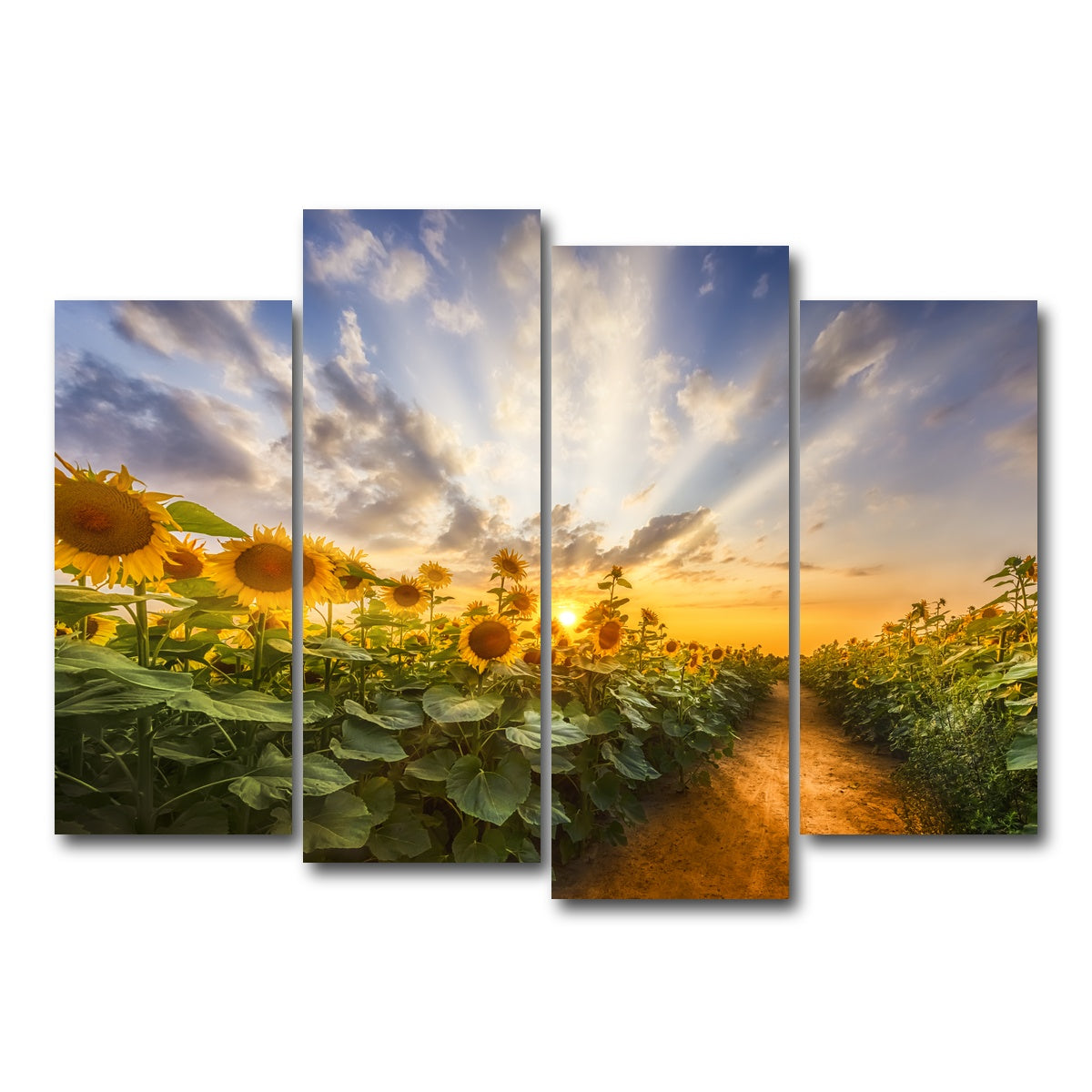 AUTO-MOCKUP WHITE | Path through the sunflower field | 4 Piece | Gallery Wrap Canvas | group=4_normal