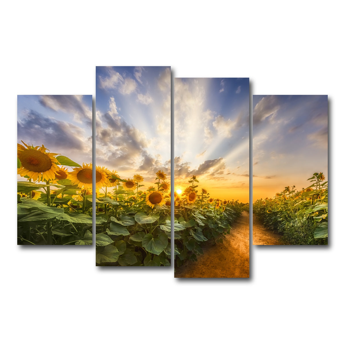 AUTO-MOCKUP WHITE | Path through the sunflower field | 4 Piece | Gallery Wrap Canvas | group=4_short
