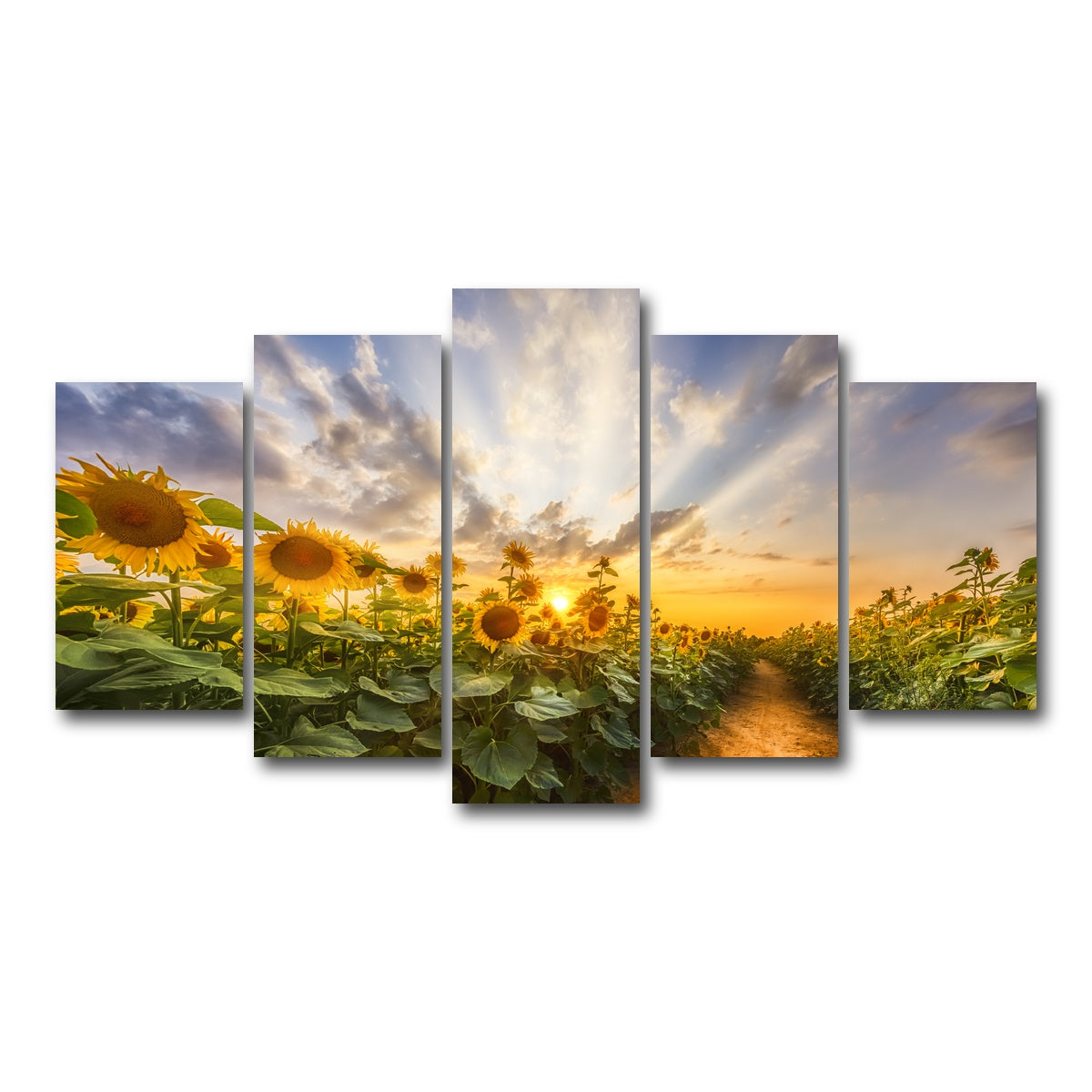 AUTO-MOCKUP WHITE | Path through the sunflower field | 5 Piece | Gallery Wrap Canvas | group=5_normal