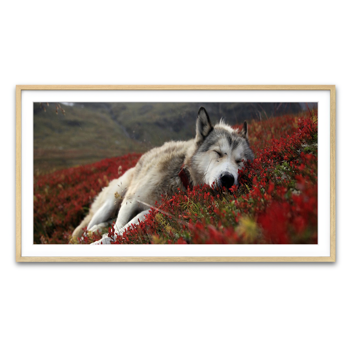 Framed Print 2x1 Natural