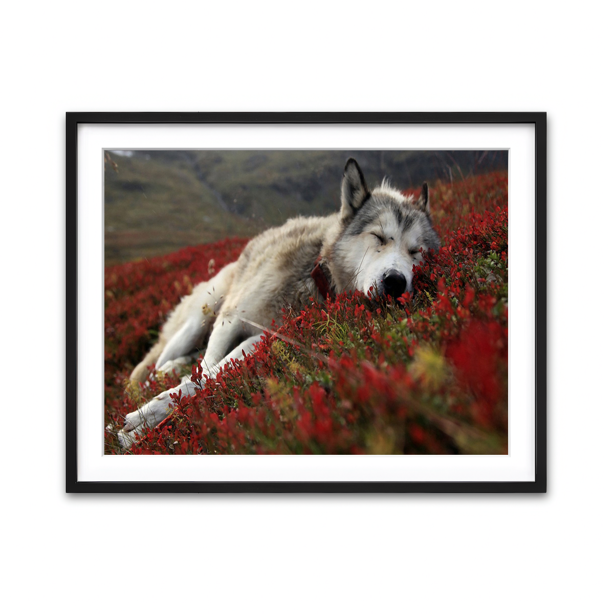 Framed Print 4x3 Black