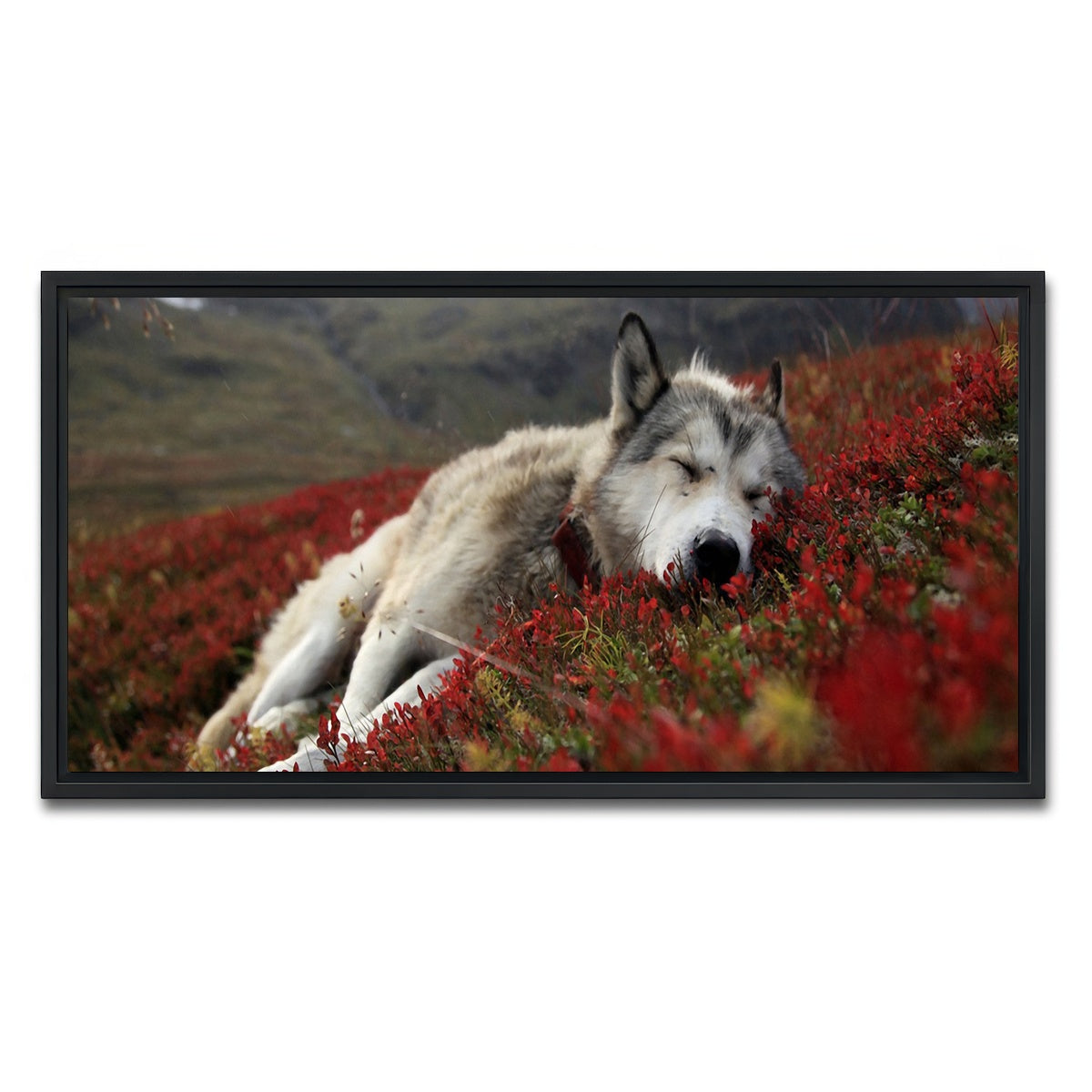 AUTO-MOCKUP WHITE | Peaceful pup | 1 Piece | Black Framed Canvas | group=2x1