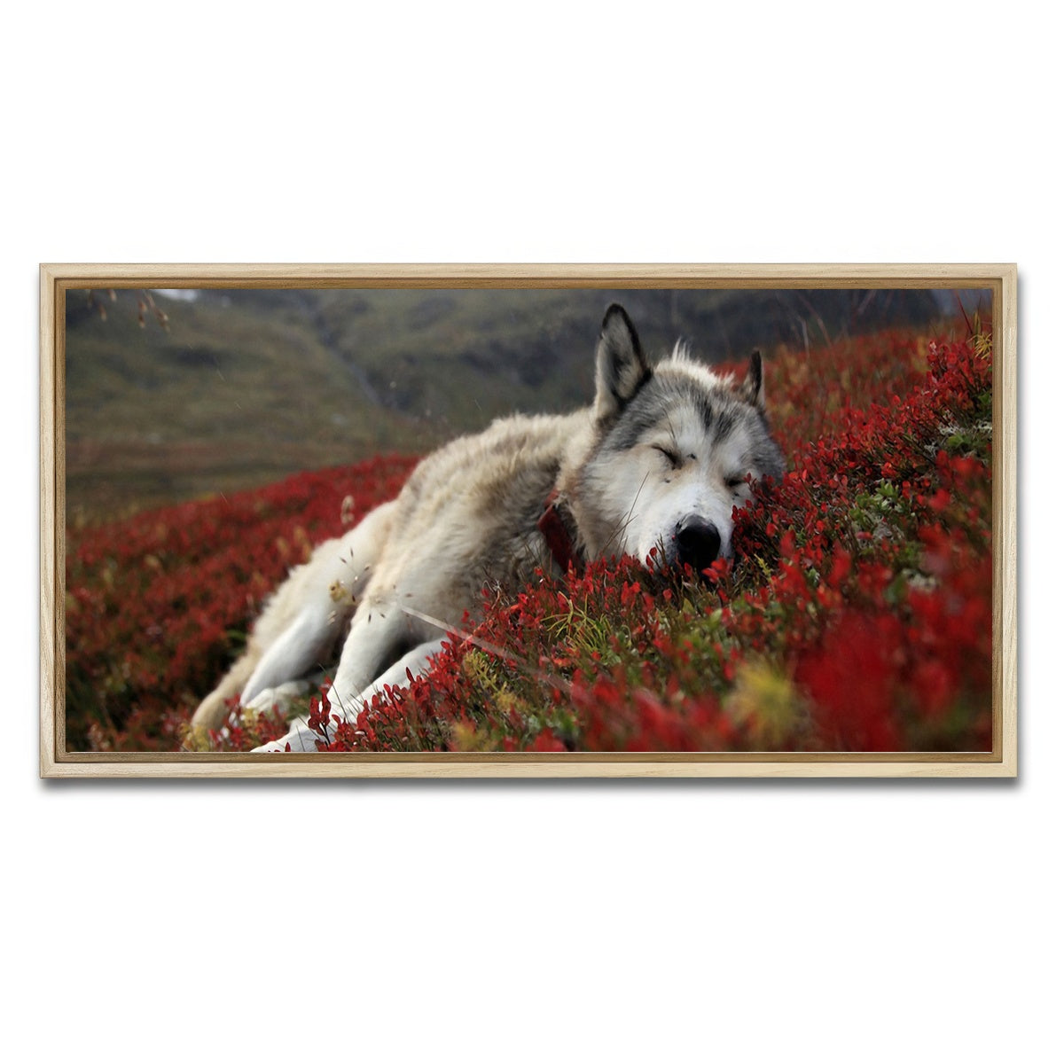 AUTO-MOCKUP WHITE | Peaceful pup | 1 Piece | Natural Framed Canvas | group=2x1