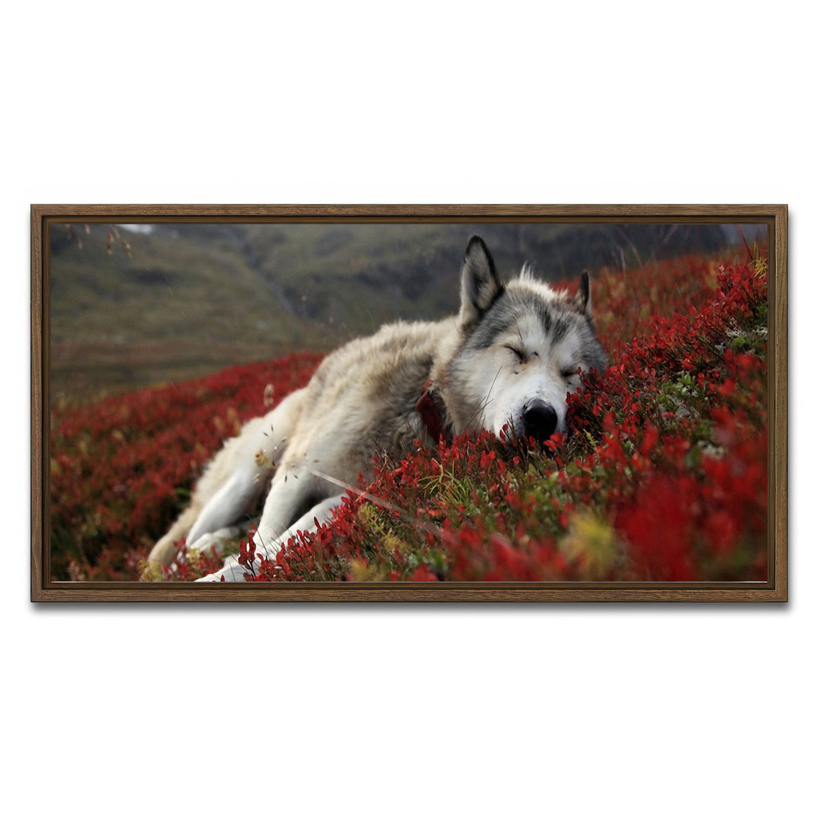 AUTO-MOCKUP WHITE | Peaceful pup | 1 Piece | Walnut Framed Canvas | group=2x1