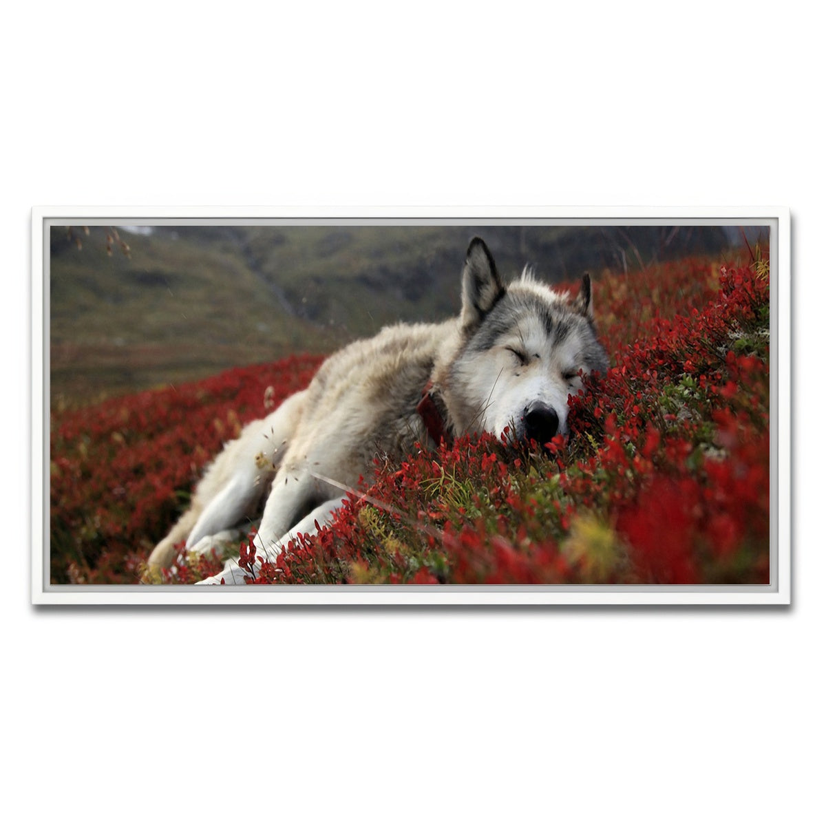 AUTO-MOCKUP WHITE | Peaceful pup | 1 Piece | White Framed Canvas | group=2x1