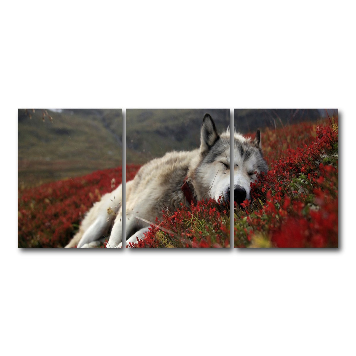 AUTO-MOCKUP WHITE | Peaceful pup | 3 Piece | Gallery Wrap Canvas | group=18x24