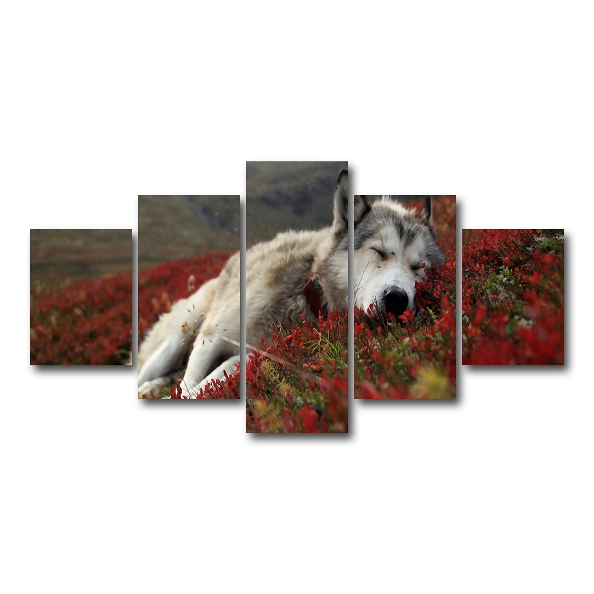 AUTO-MOCKUP WHITE | Peaceful pup | 5 Piece | Gallery Wrap Canvas | group=5_short