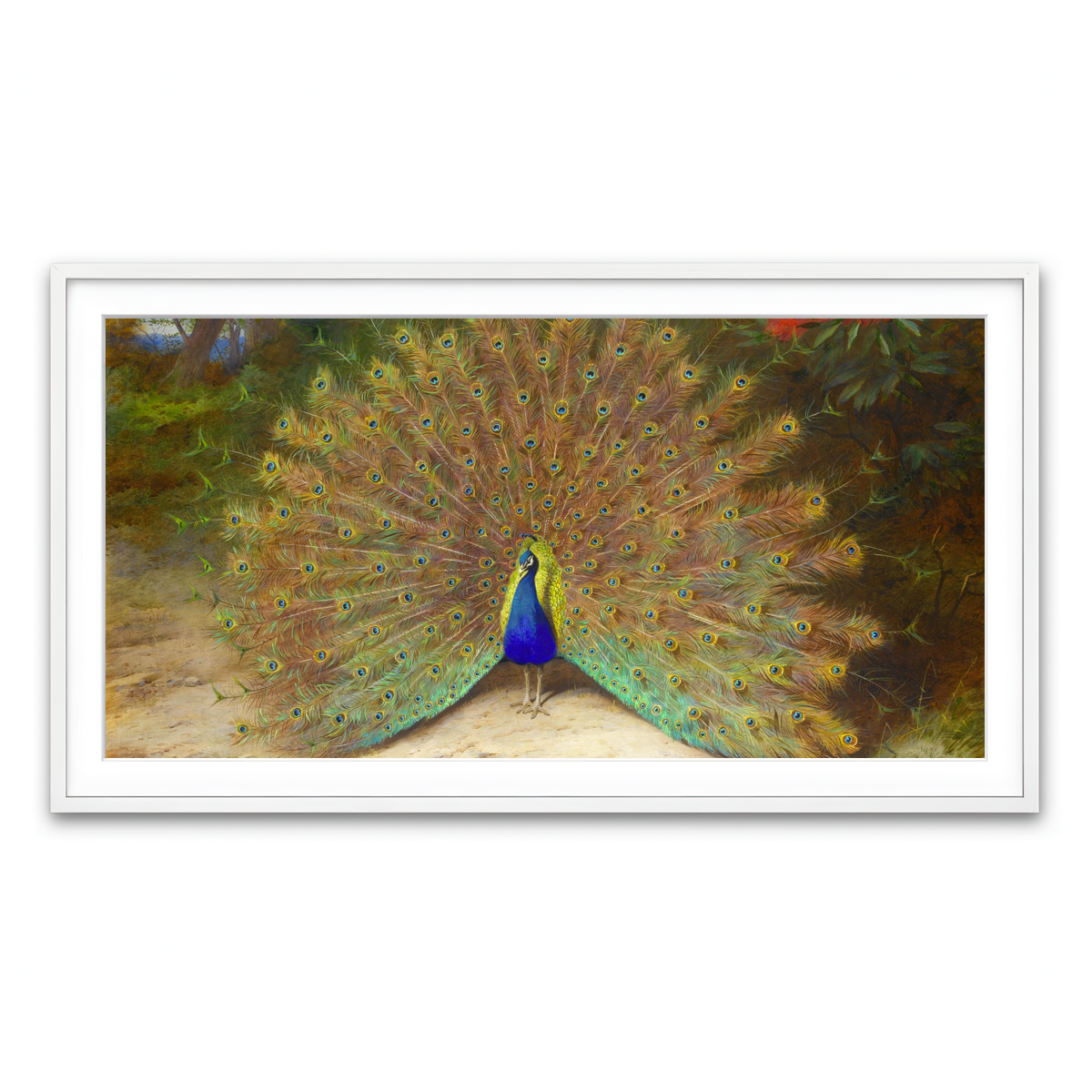 Framed Print 2x1 White