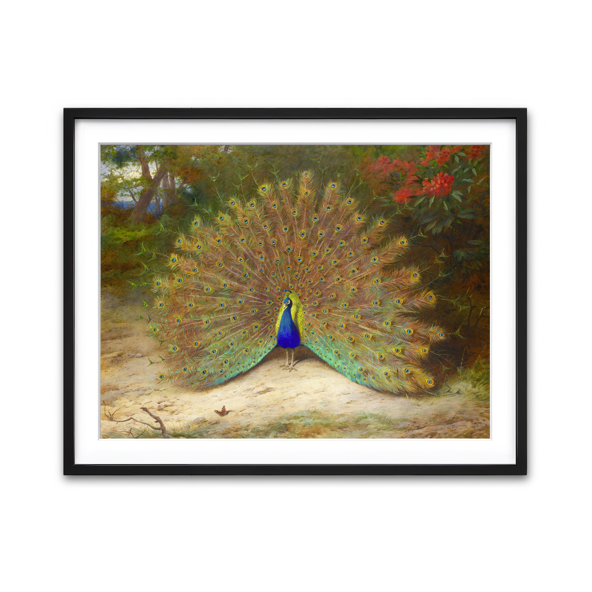 Framed Print 4x3 Black