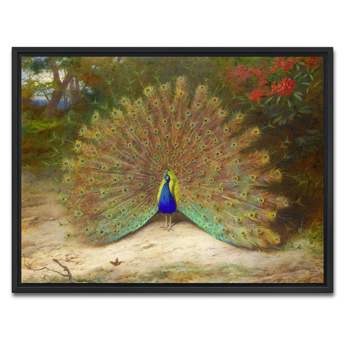 AUTO-MOCKUP WHITE | Peacock and Butterfly | 1 Piece | Black Framed Canvas | group=4x3