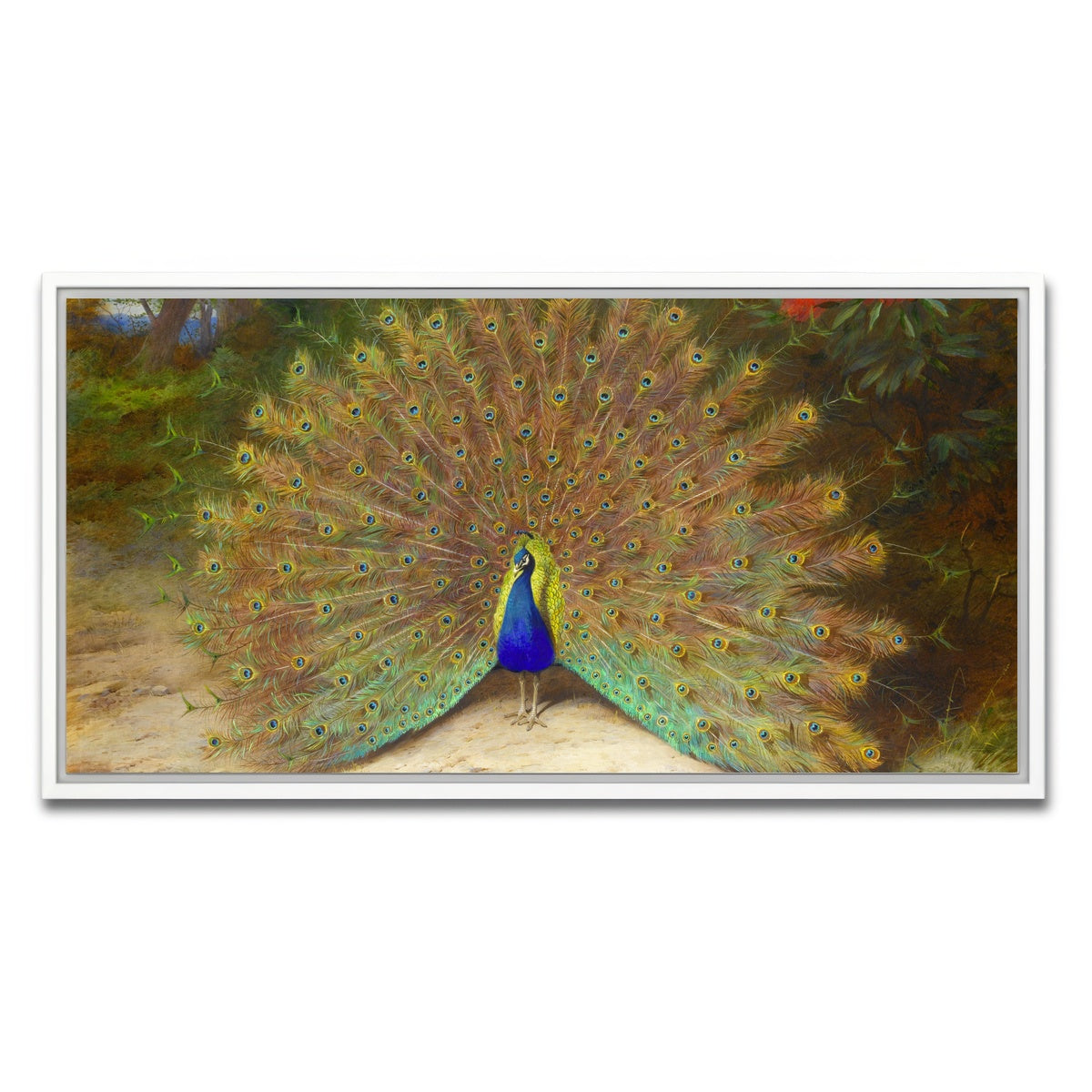 AUTO-MOCKUP WHITE | Peacock and Butterfly | 1 Piece | White Framed Canvas | group=2x1