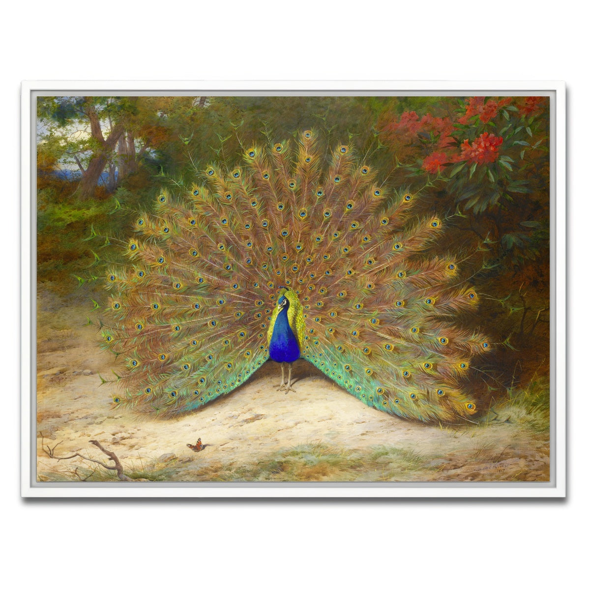 AUTO-MOCKUP WHITE | Peacock and Butterfly | 1 Piece | White Framed Canvas | group=4x3