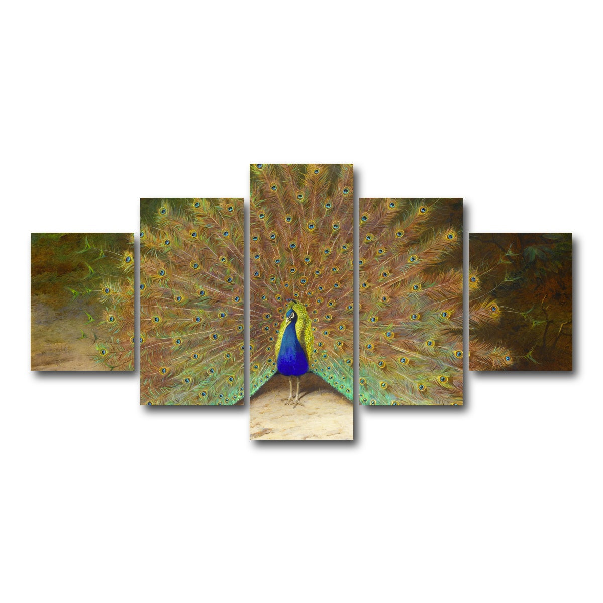 AUTO-MOCKUP WHITE | Peacock and Butterfly | 5 Piece | Gallery Wrap Canvas | group=5_short