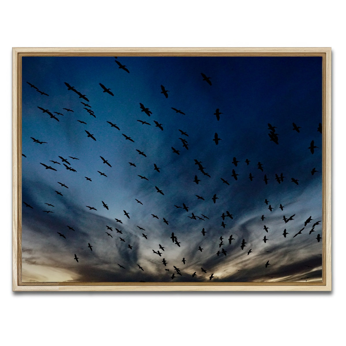 AUTO-MOCKUP WHITE | Pelican Migration Louisiana | 1 Piece | Natural Framed Canvas | group=4x3