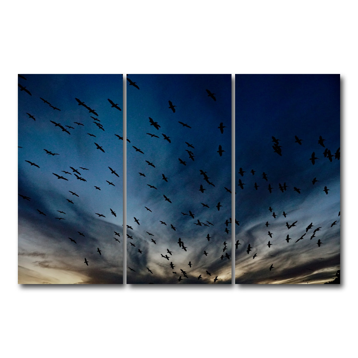 AUTO-MOCKUP WHITE | Pelican Migration Louisiana | 3 Piece | Gallery Wrap Canvas | group=12x24