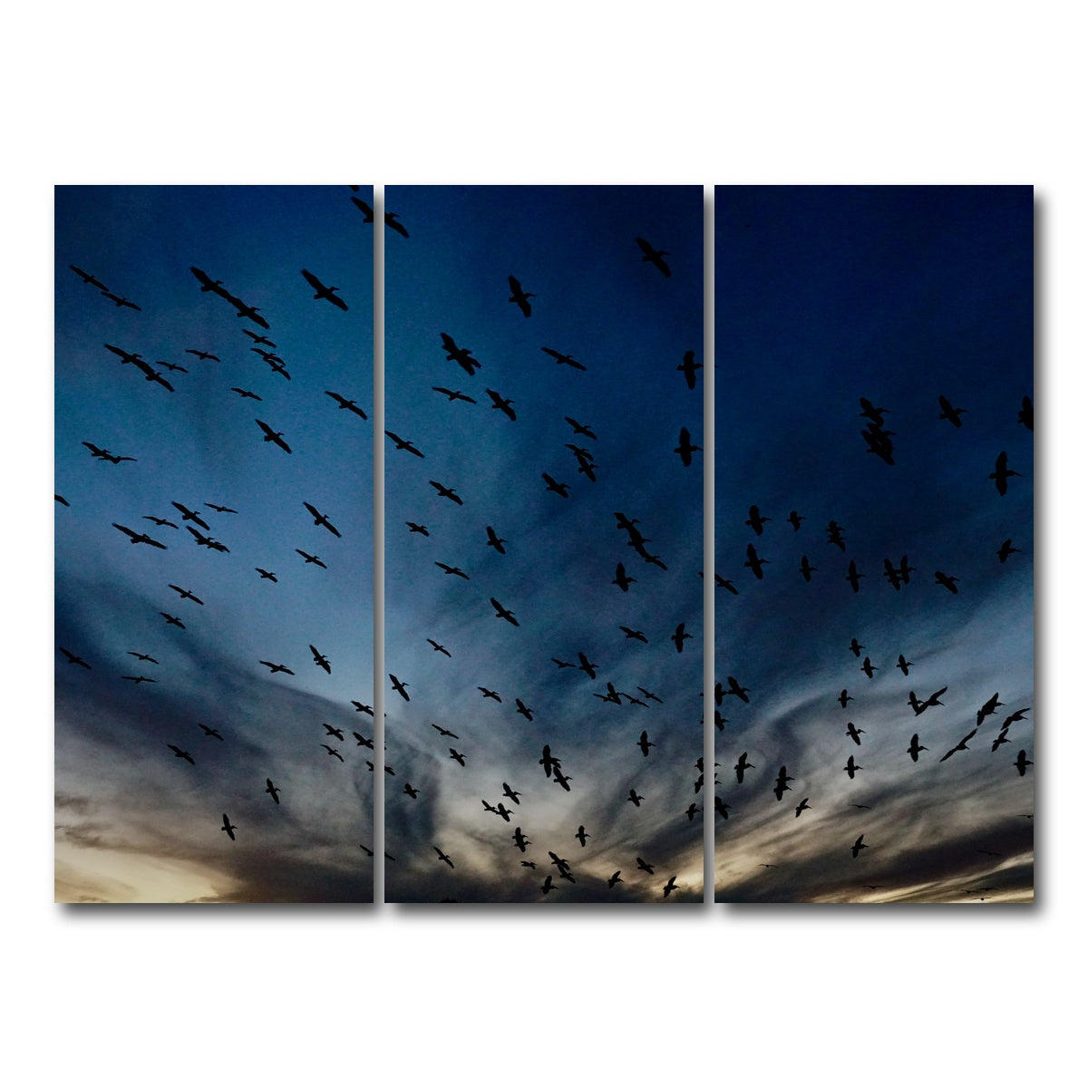AUTO-MOCKUP WHITE | Pelican Migration Louisiana | 3 Piece | Gallery Wrap Canvas | group=8x18