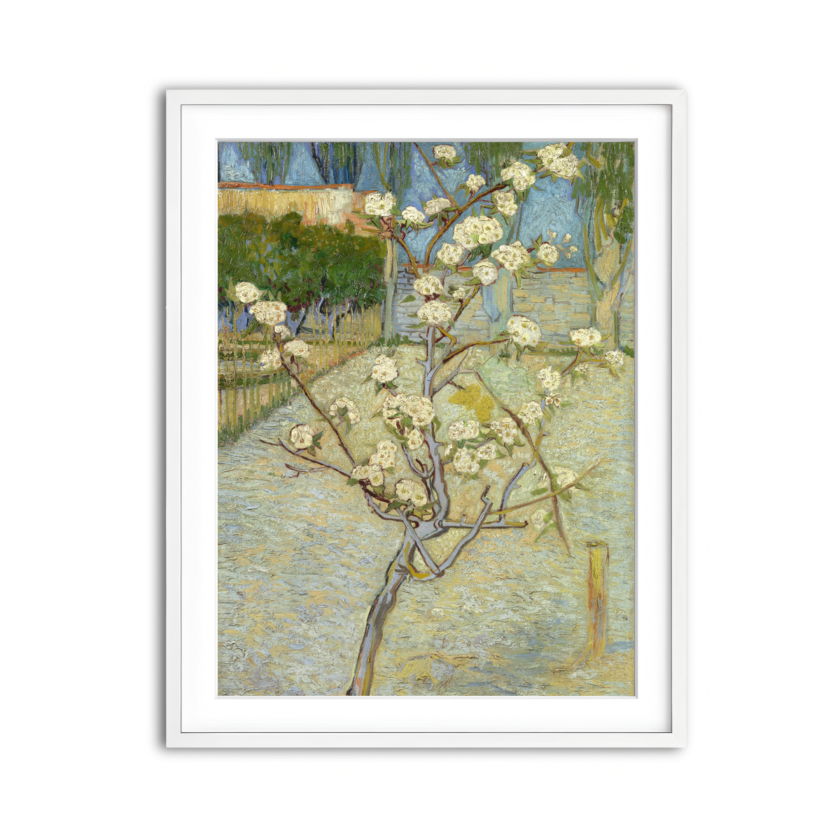 Framed Print 3x4 White