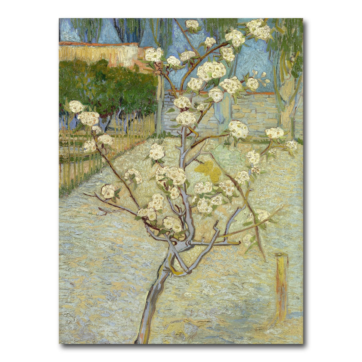 AUTO-MOCKUP WHITE | Perenboompje in bloei | 1 Piece | Gallery Wrap Canvas | group=3x4