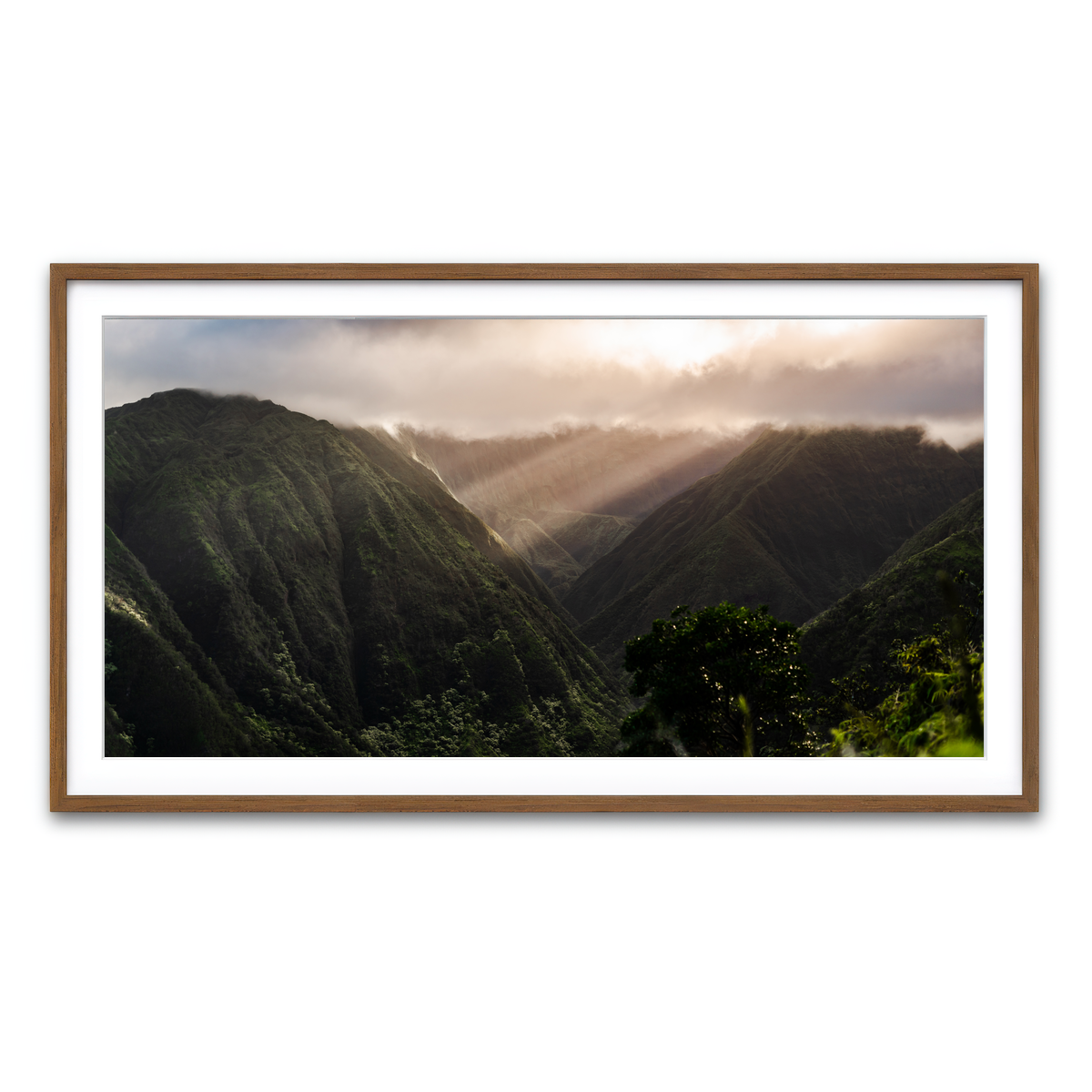 Framed Print 2x1 Walnut