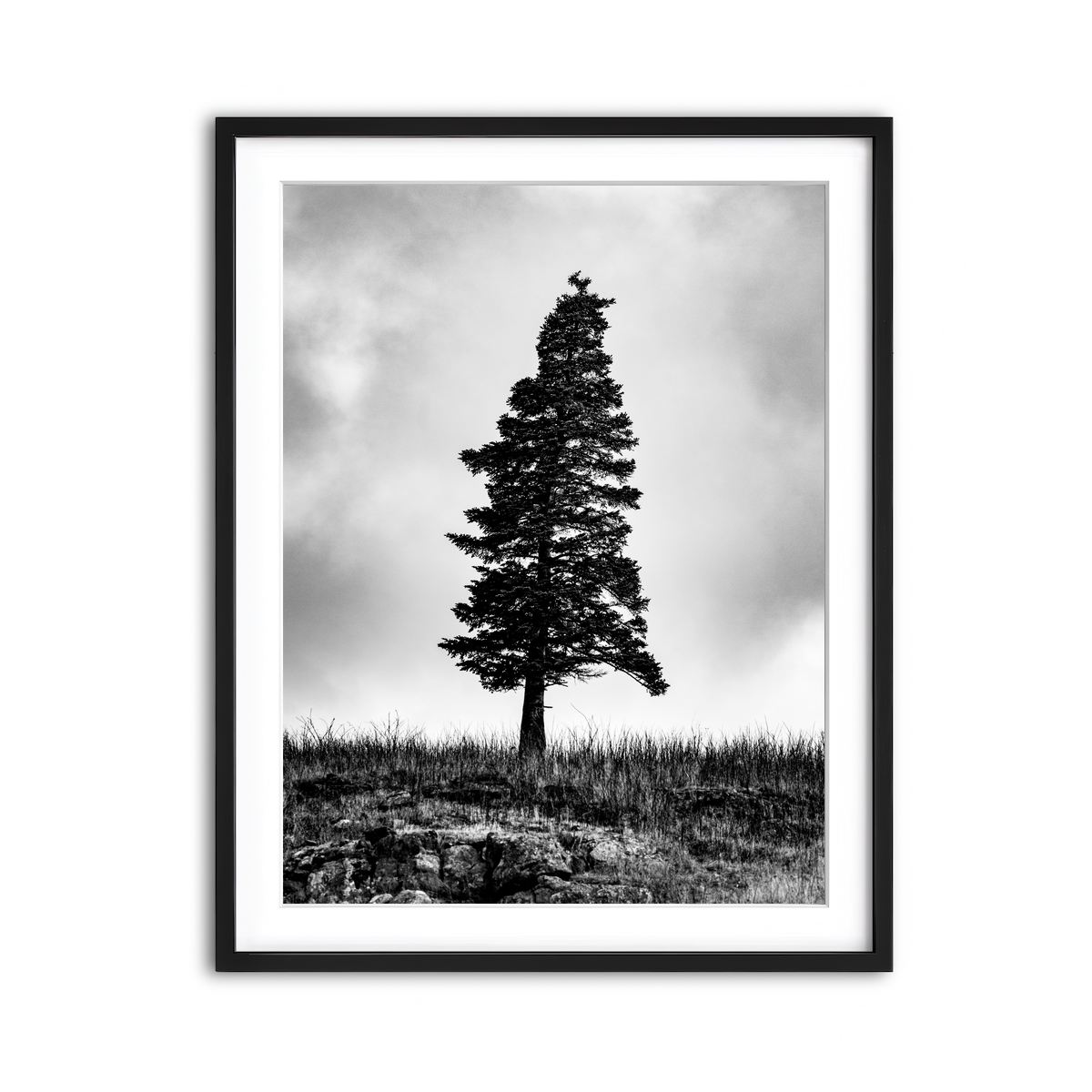 Framed Print 3x4 Black
