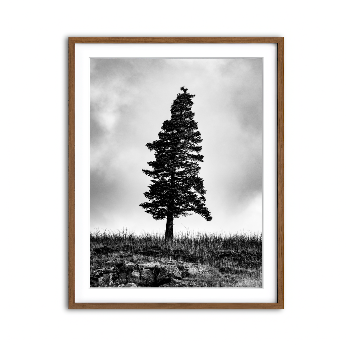 Framed Print 3x4 Walnut