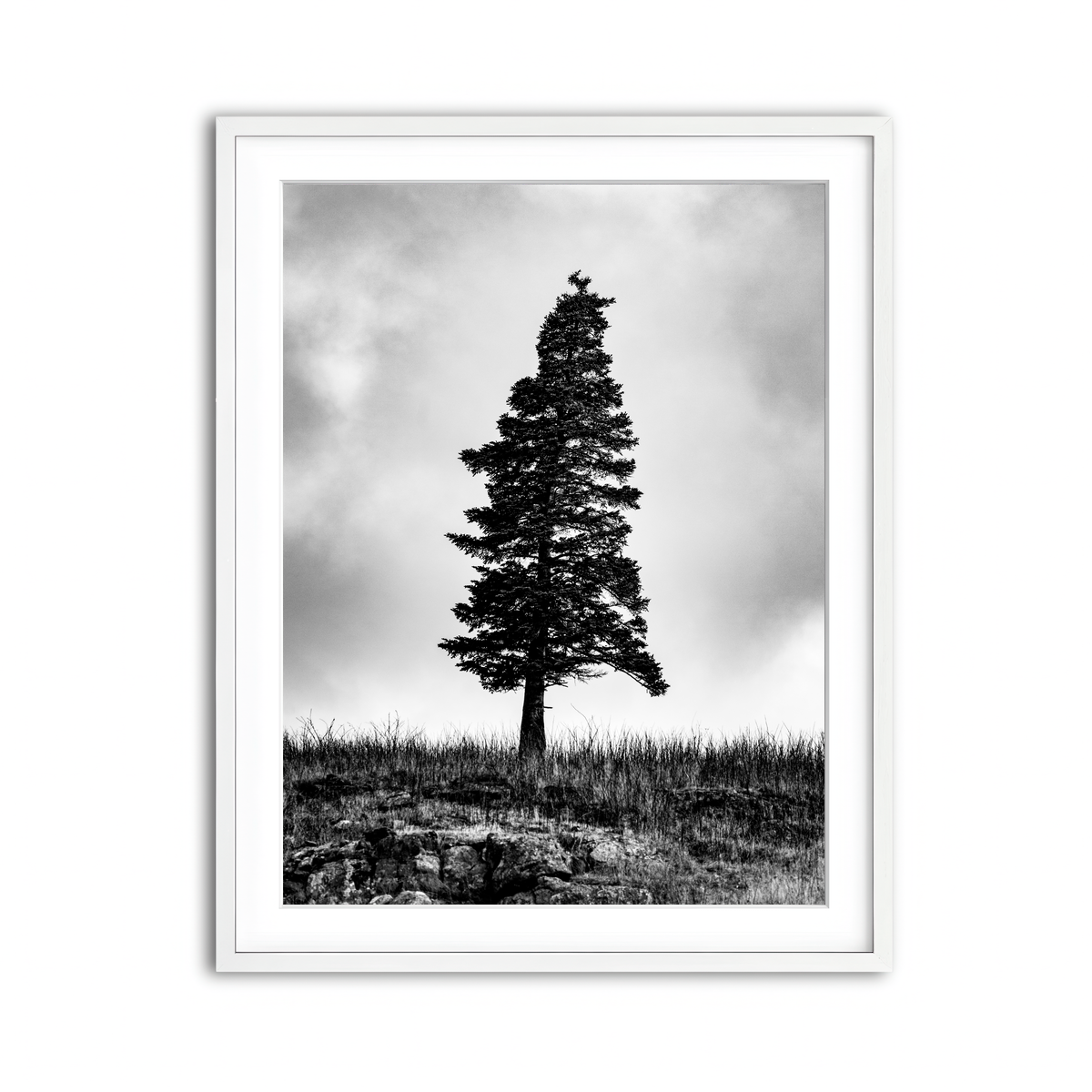 Framed Print 3x4 White