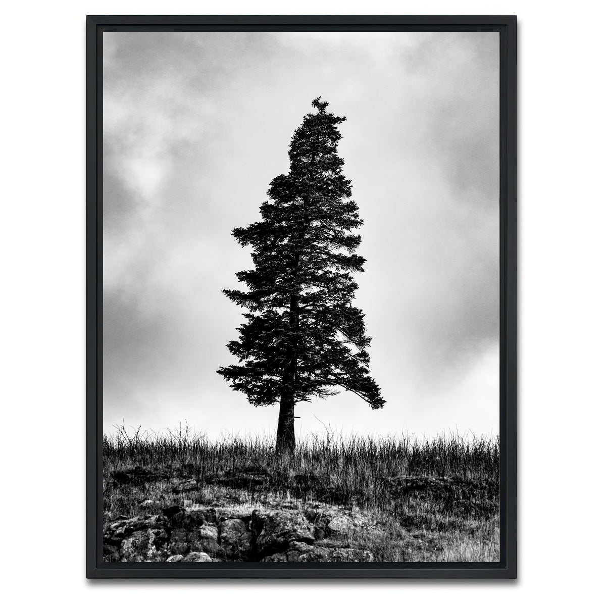 AUTO-MOCKUP WHITE | Pine | 1 Piece | Black Framed Canvas | group=3x4