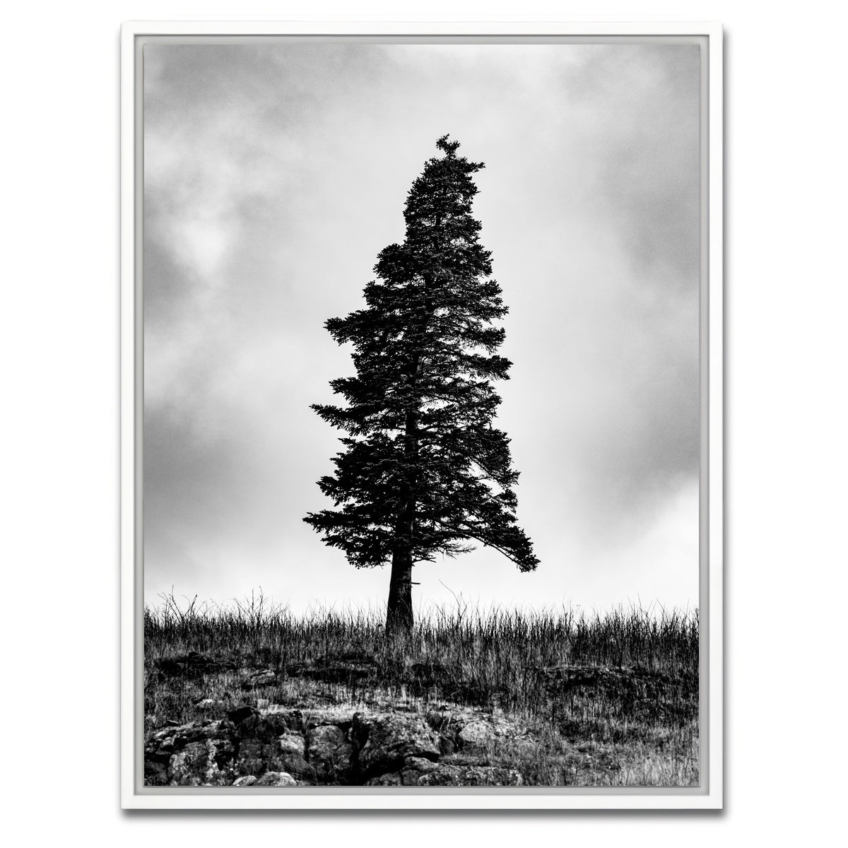 AUTO-MOCKUP WHITE | Pine | 1 Piece | White Framed Canvas | group=3x4